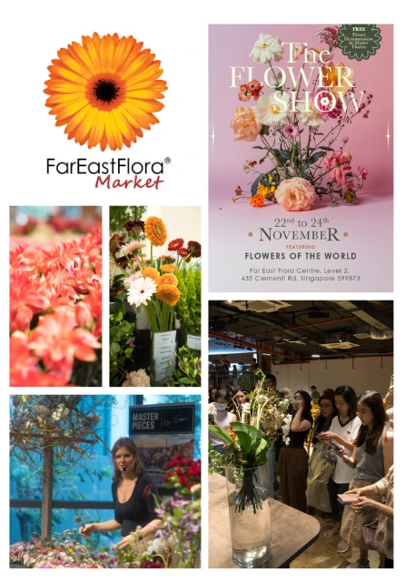 Far East Flora Market (formerly known as Far East Orchid)
Far East Flora Market – Event Campaign Strategy
From Wholesale to Full-Blown Flower Show. The following case studies form part of my marketing portfolio Singapore, reflecting real-world results for SMEs across industries.